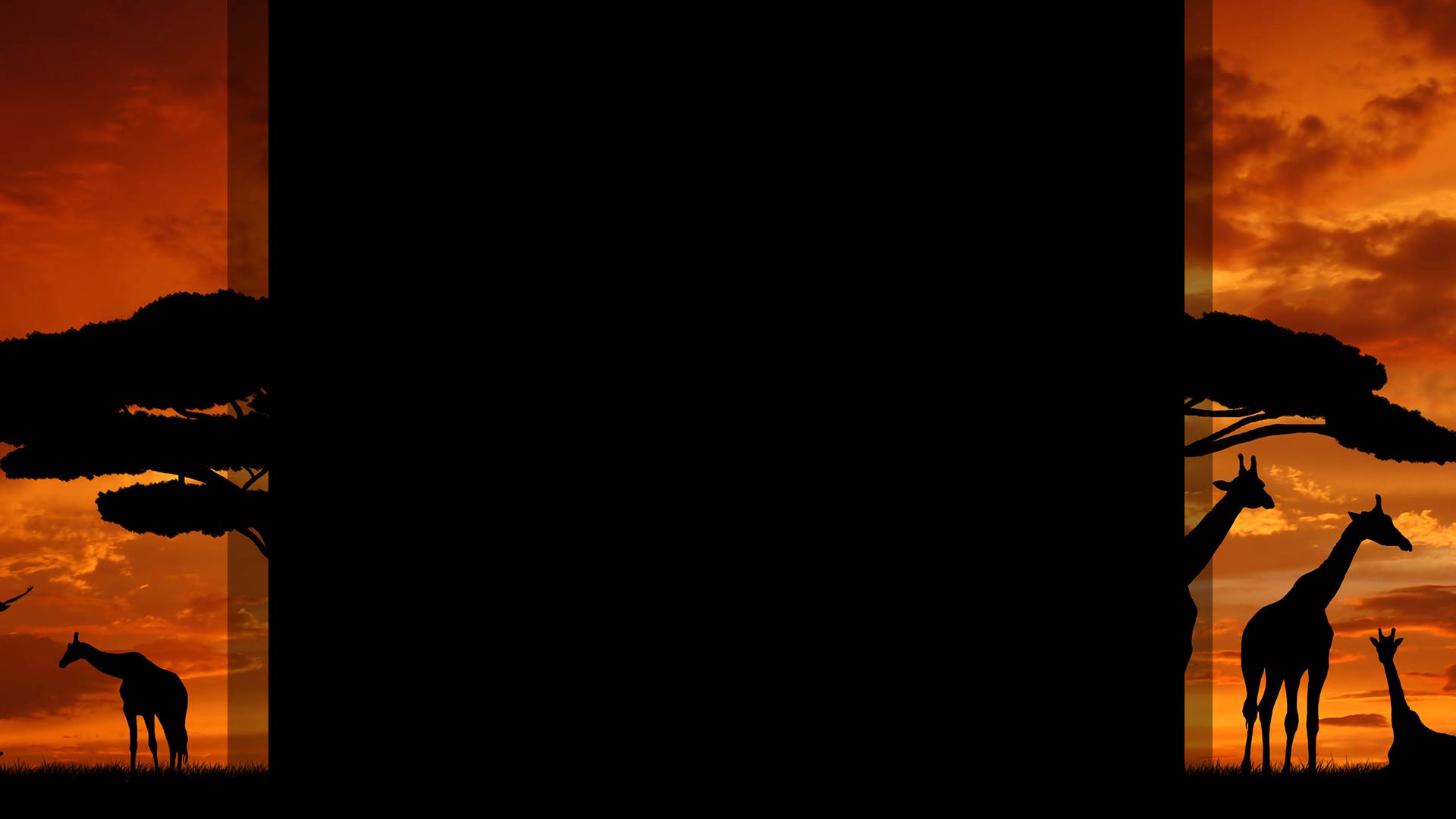 Masai background
